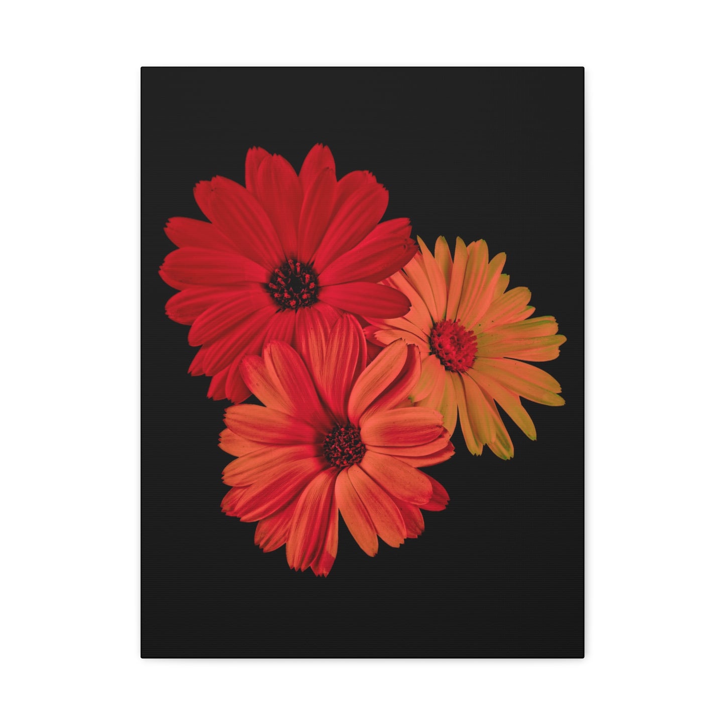 Collection Signature "FLORAL Numéro 1" sur Toile Fine Art sur Toile / Epaisseur 3,2cm - 1'25 po