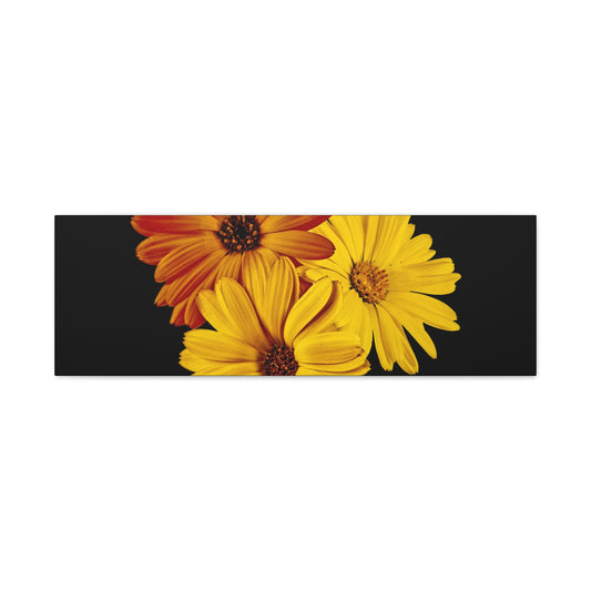Collection Signature "FLORAL Numéro 4" sur Toile Fine Art sur Toile / Epaisseur 3,2cm - 1'25 po