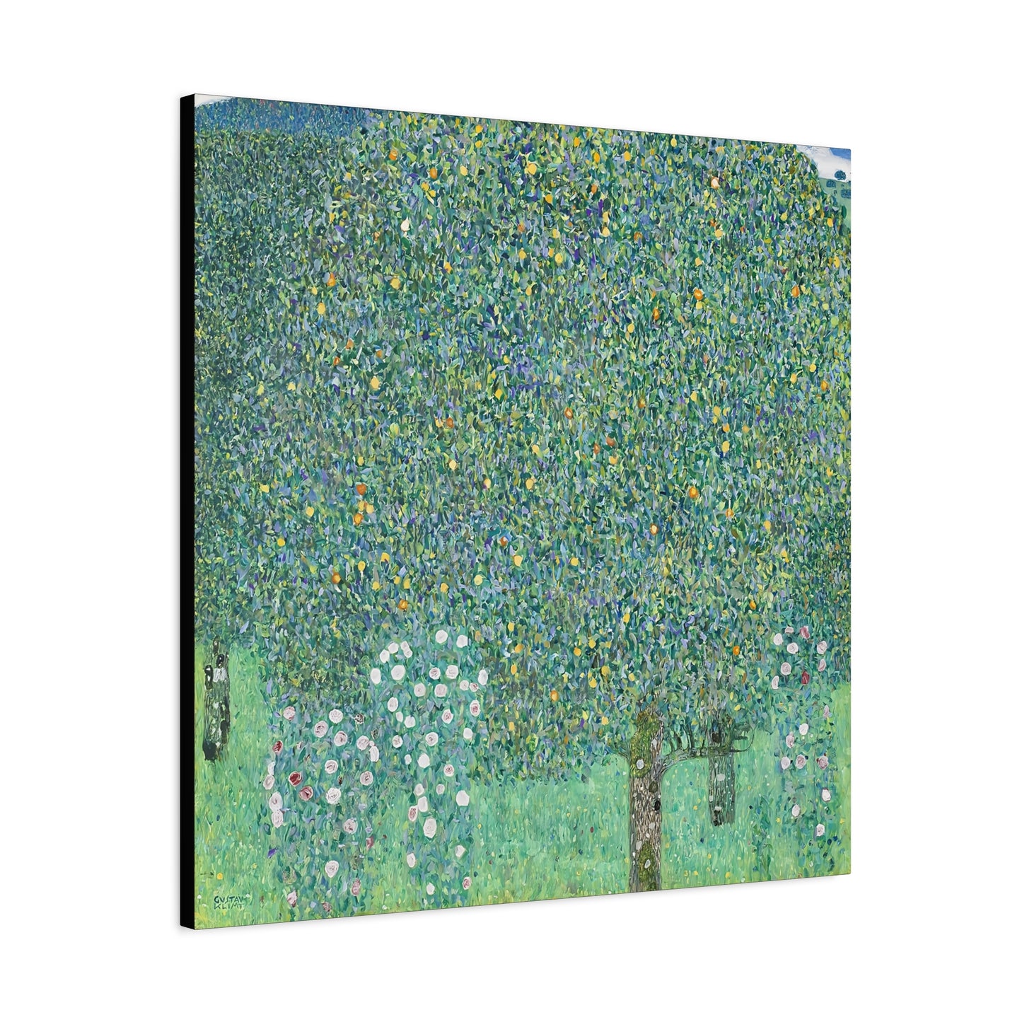 Rosebushes under the Trees (circa 1905) by Gustav Klimt / Reproduction Fine Art sur Toile / Flanc Large Epaisseur 3.2 cm - 1.25 inch