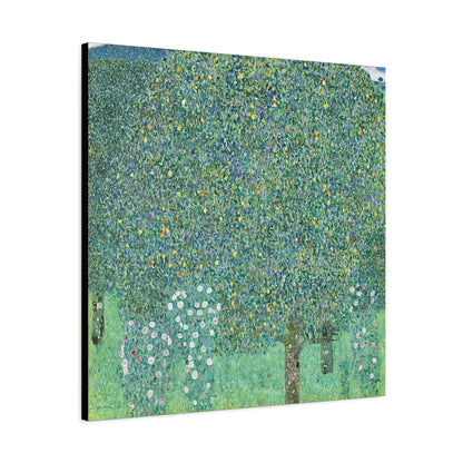 Rosebushes under the Trees (circa 1905) by Gustav Klimt / Reproduction Fine Art sur Toile / Flanc Large Epaisseur 3.2 cm - 1.25 inch