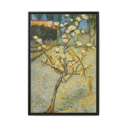 Small pear tree in blossom (1888) by Vincent van Gogh / Toile encadrée sur caisse américaine