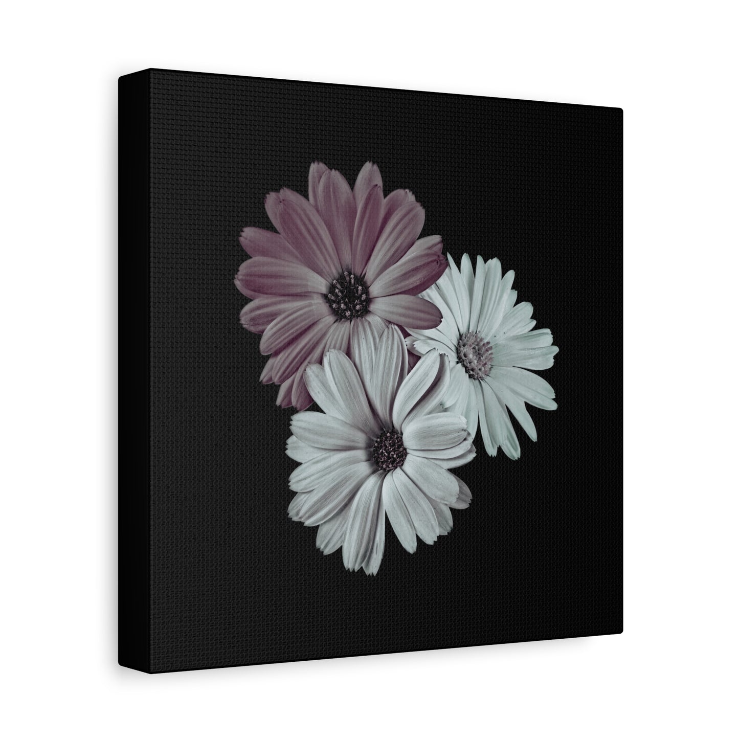 Collection Signature "FLORAL Numéro 5" sur Toile Fine Art sur Toile / Epaisseur 3,2cm - 1'25 po