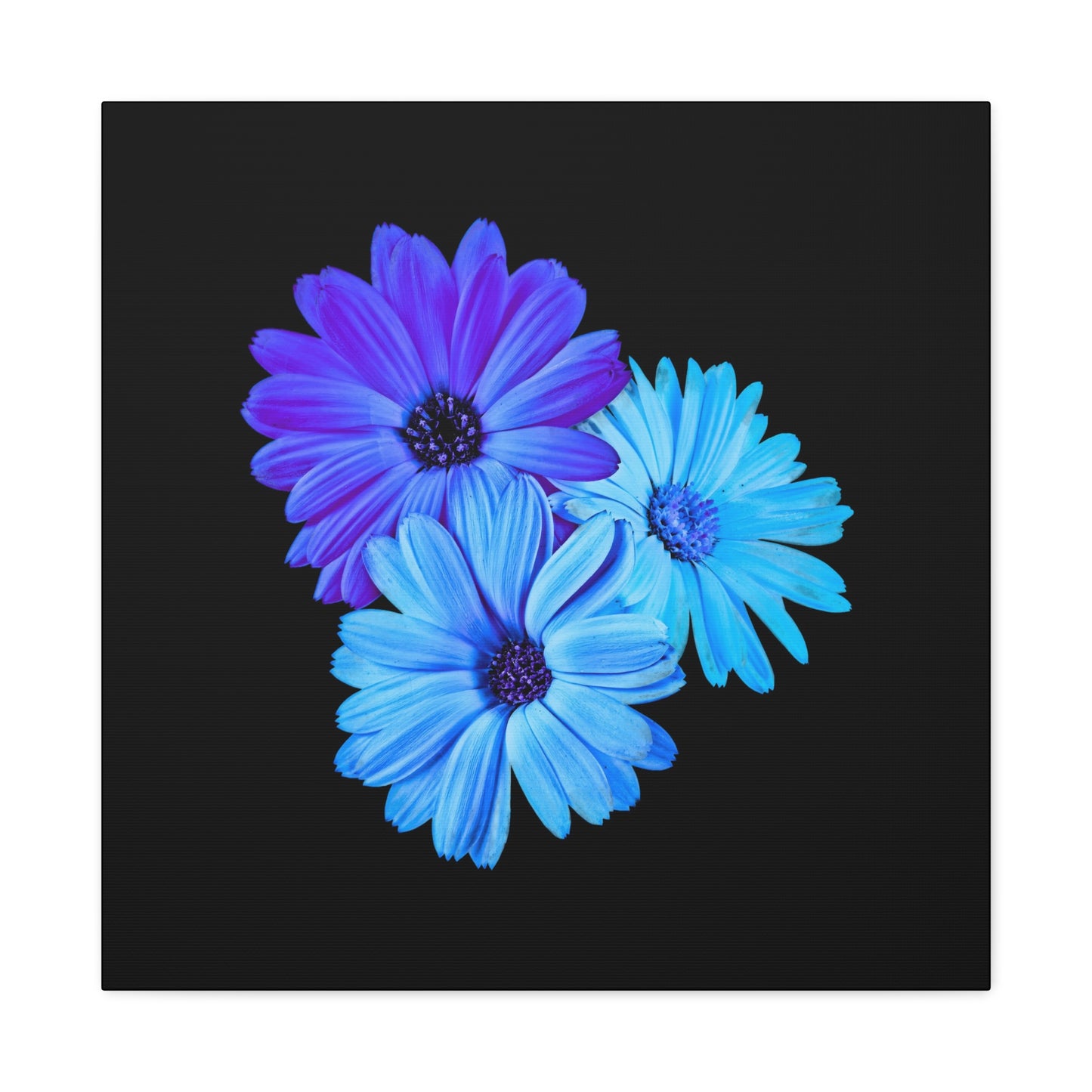 Collection Signature "FLORAL Numéro 2" sur Toile Fine Art sur Toile / Epaisseur 3,2cm - 1'25 po
