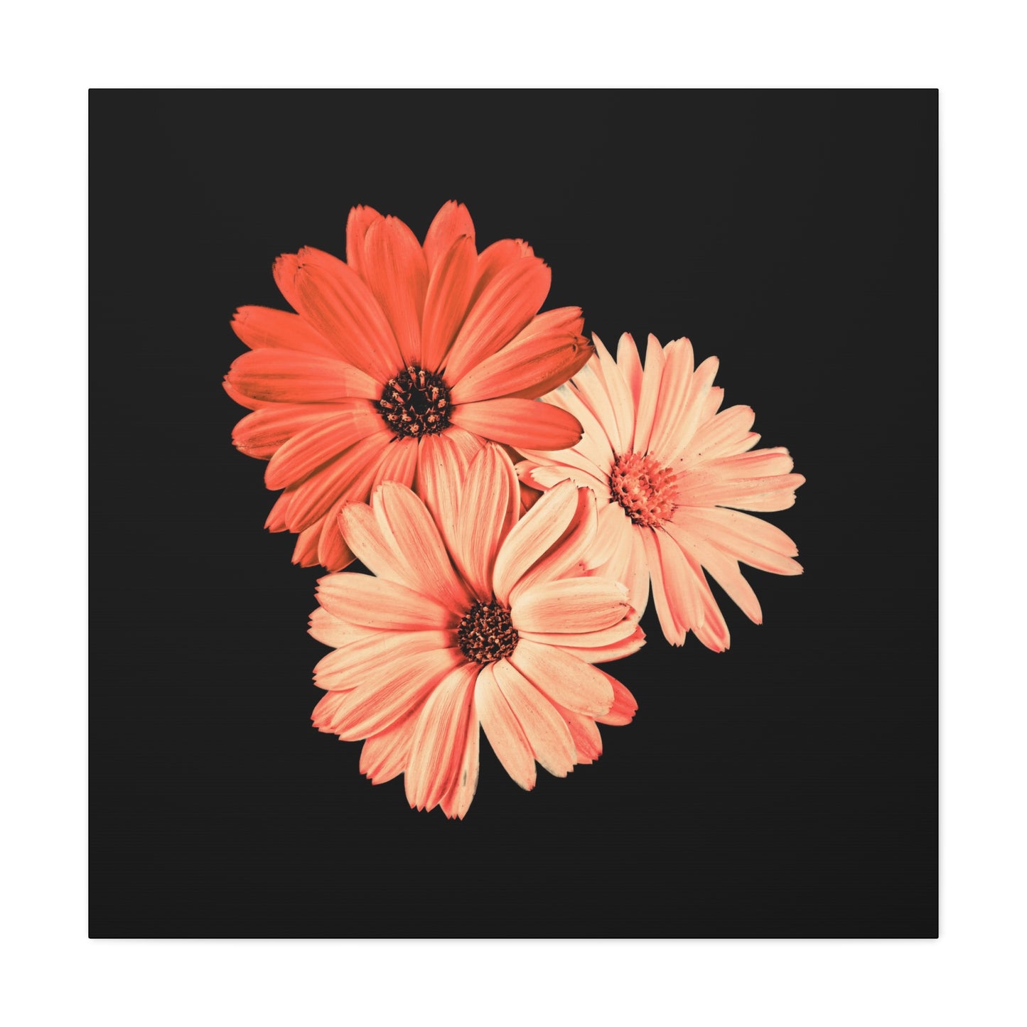 Collection Signature "FLORAL Numéro 6" sur Toile Fine Art sur Toile / Epaisseur 3,2cm - 1'25 po