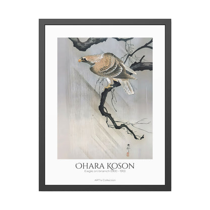 Eagle on branch (1900 - 1910) by Ohara Koson / Affiche Encadrée série ART's Collection