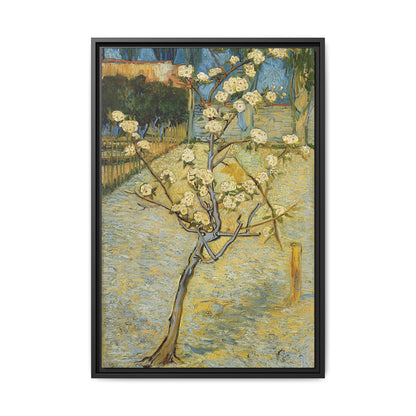 Small pear tree in blossom (1888) by Vincent van Gogh / Toile encadrée sur caisse américaine