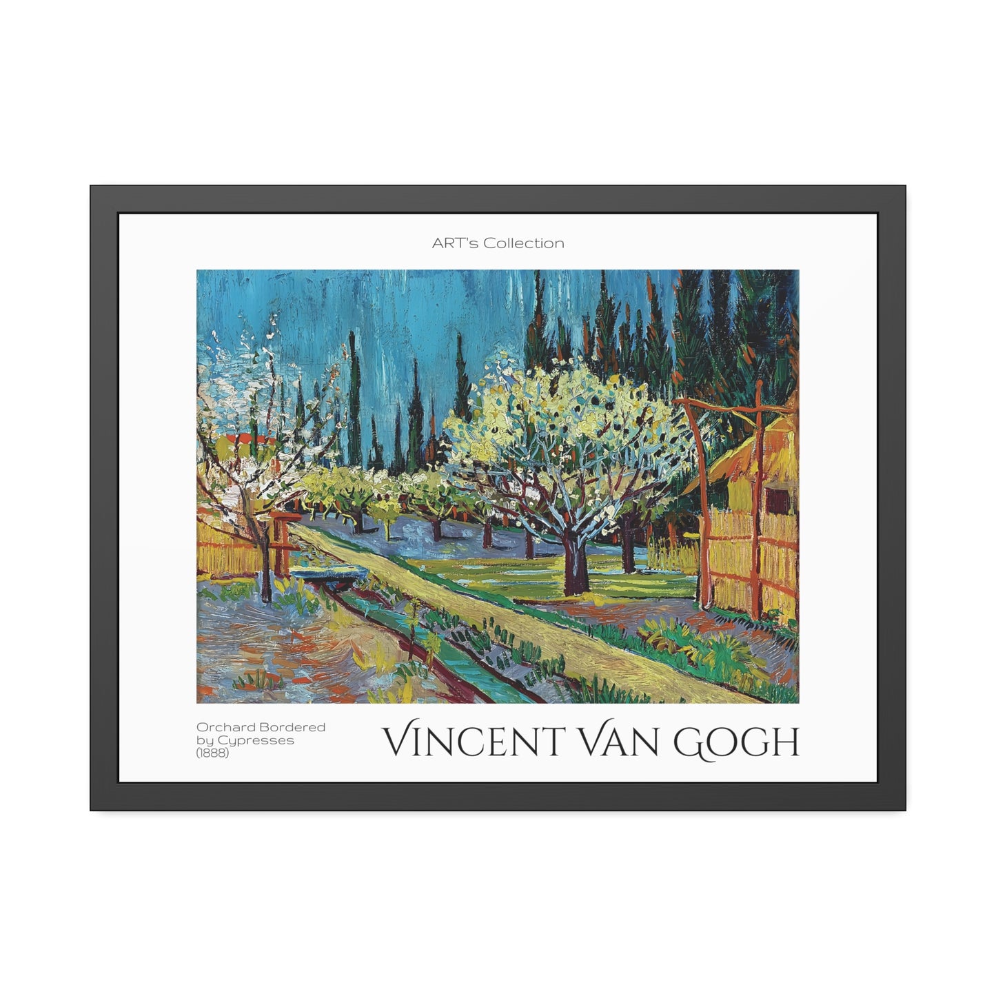 Orchard Bordered by Cypresses (1888) by Vincent Van Gogh / Affiche Encadrée série ART's Collection