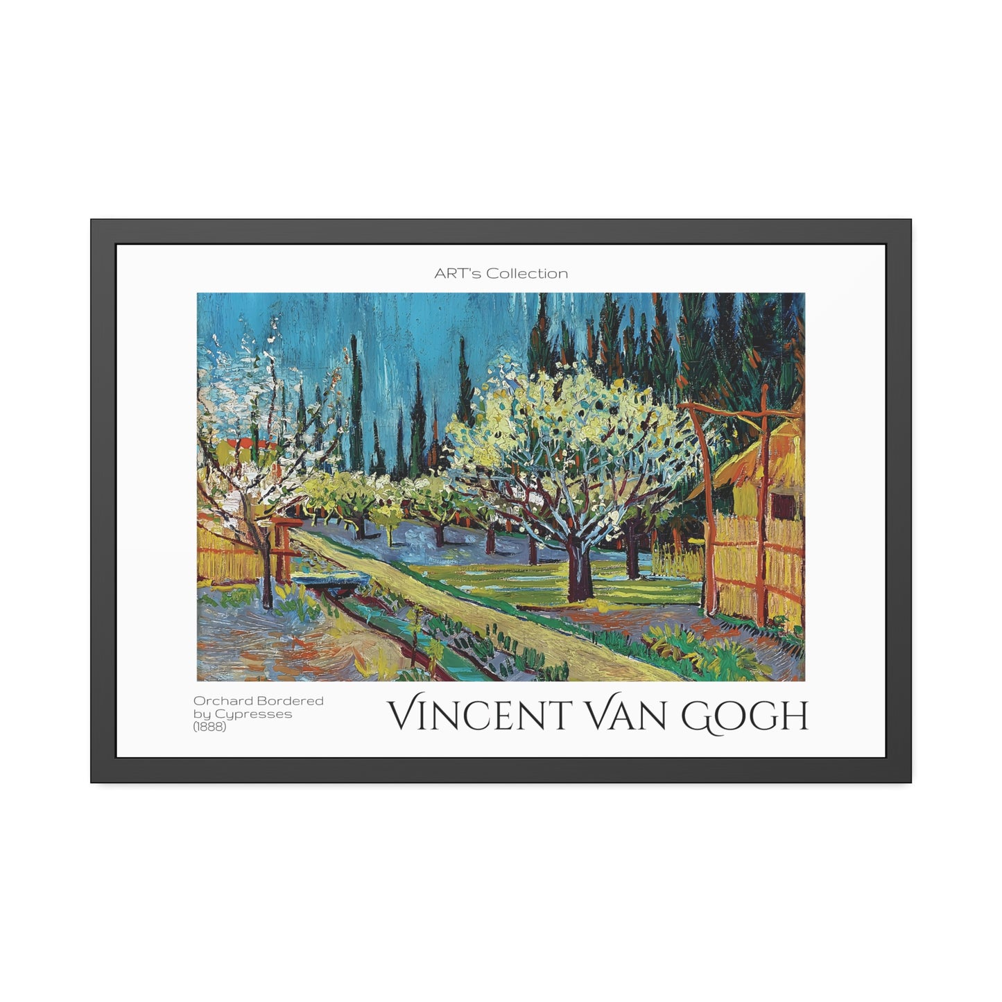 Orchard Bordered by Cypresses (1888) by Vincent Van Gogh / Affiche Encadrée série ART's Collection