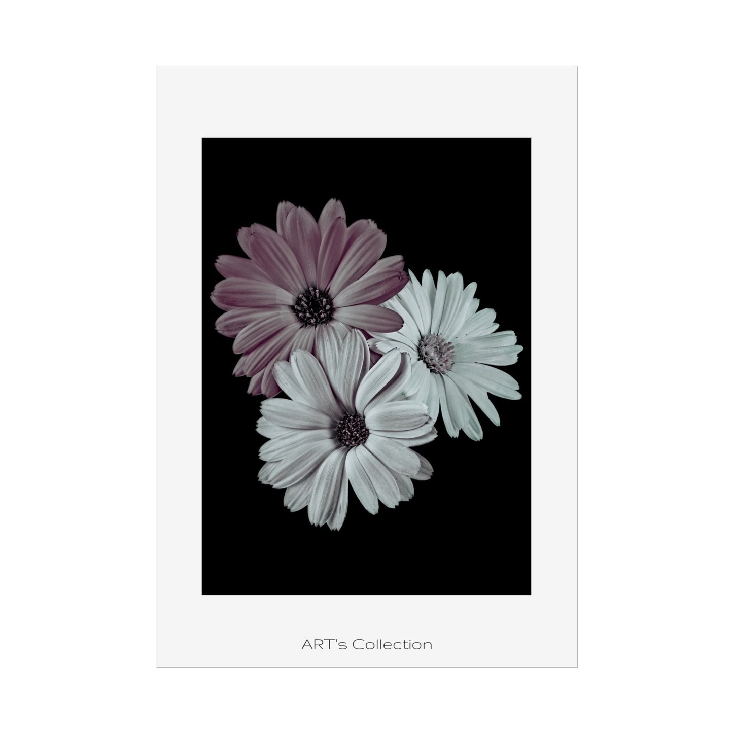Collection Signature "FLORAL Numéro 5" sur Affiche imprimée - Série ART's Collection