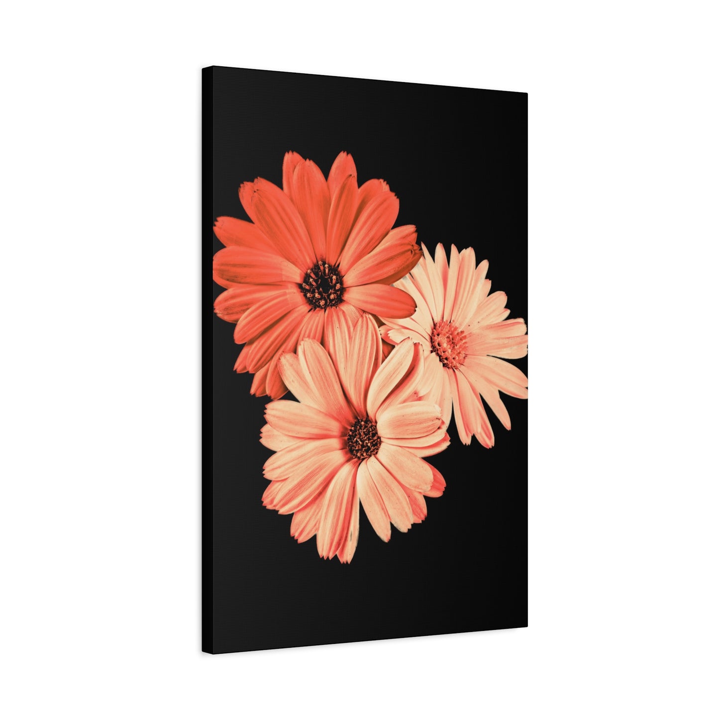 Collection Signature "FLORAL Numéro 6" sur Toile Fine Art sur Toile / Epaisseur 3,2cm - 1'25 po
