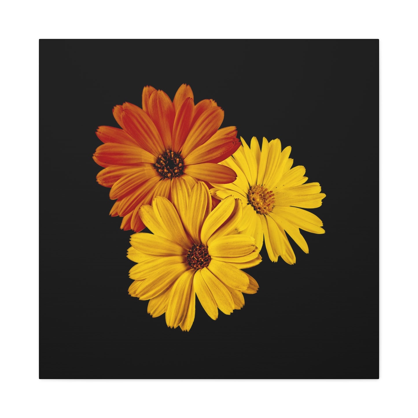 Collection Signature "FLORAL Numéro 4" sur Toile Fine Art sur Toile / Epaisseur 3,2cm - 1'25 po