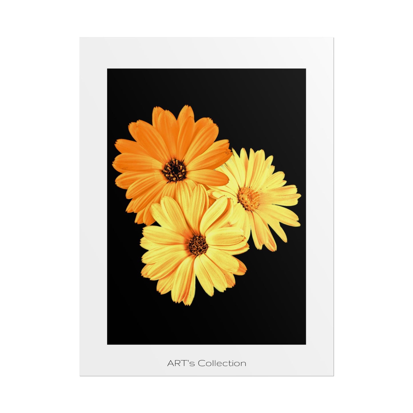 Collection Signature "FLORAL Numéro 8" sur Affiche imprimée - Série ART's Collection