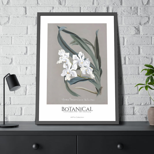 Botanical - Orchidées Pl.10 (19th Century) / Affiche Encadrée série ART's Collection