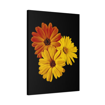 Collection Signature "FLORAL Numéro 4" sur Toile Fine Art sur Toile / Epaisseur 3,2cm - 1'25 po