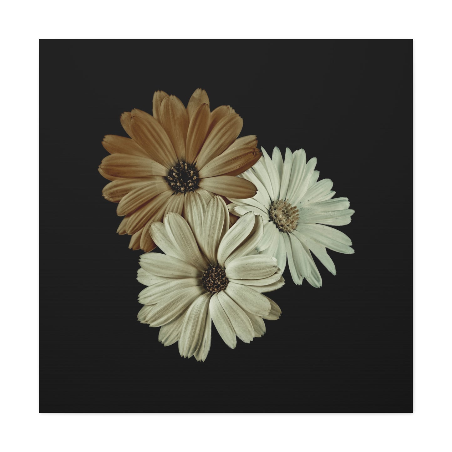 Collection Signature "FLORAL Numéro 3" sur Toile Fine Art sur Toile / Epaisseur 3,2cm - 1'25 po