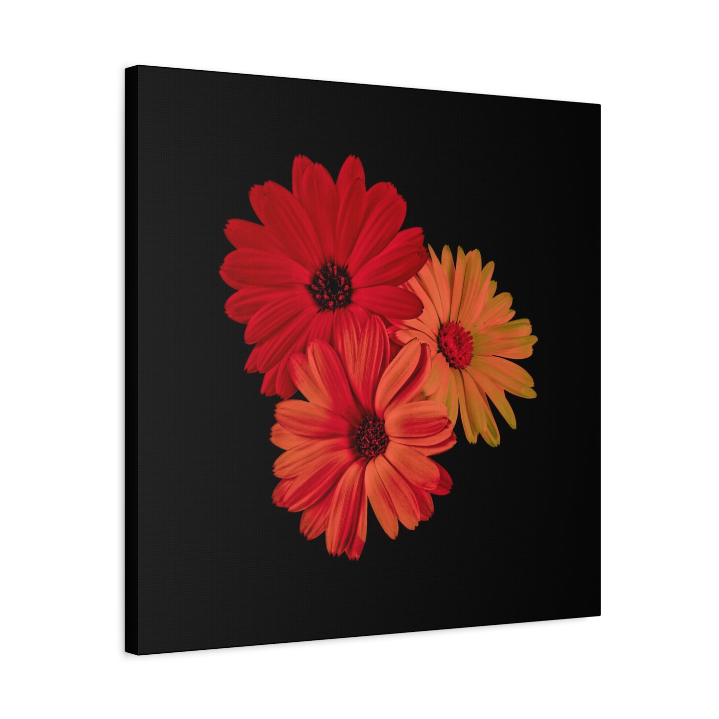 Collection Signature "FLORAL Numéro 1" sur Toile Fine Art sur Toile / Epaisseur 3,2cm - 1'25 po
