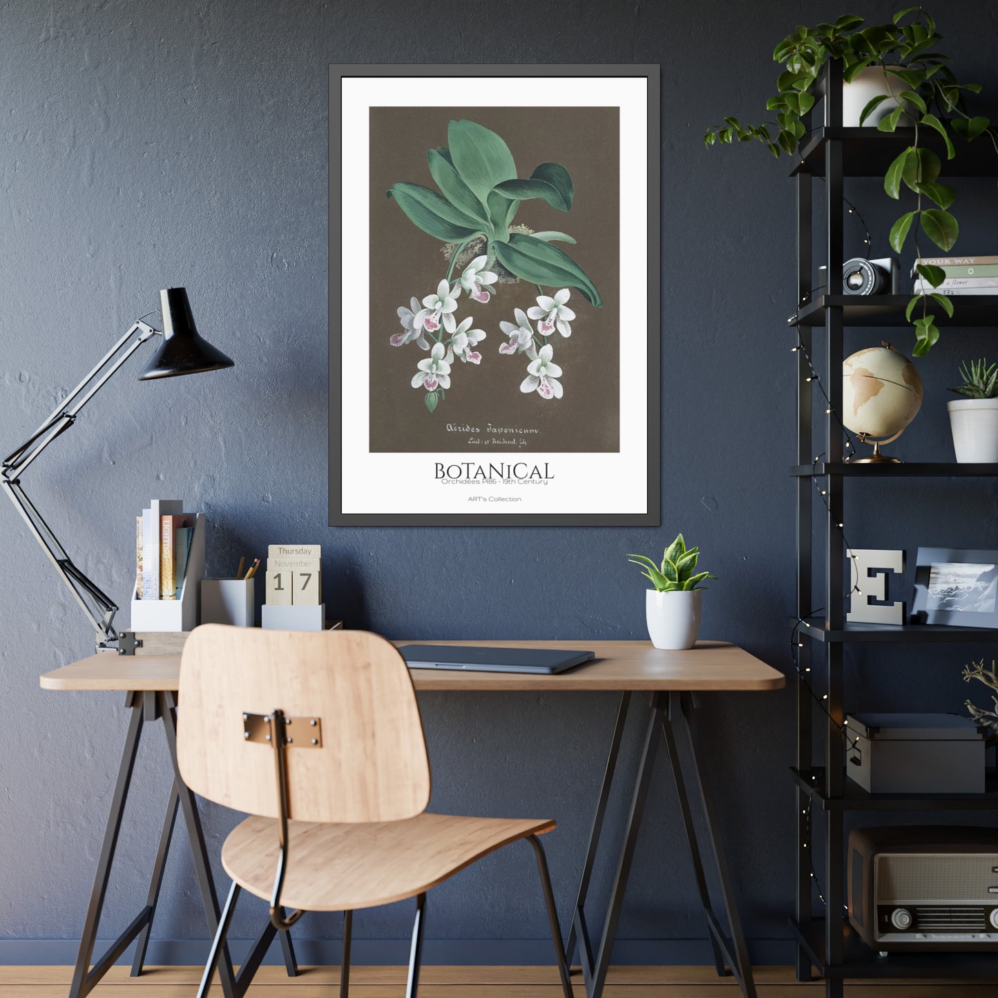 Botanical - Orchidées Pl.86 (19th Century) / Affiche Encadrée série ART's Collection