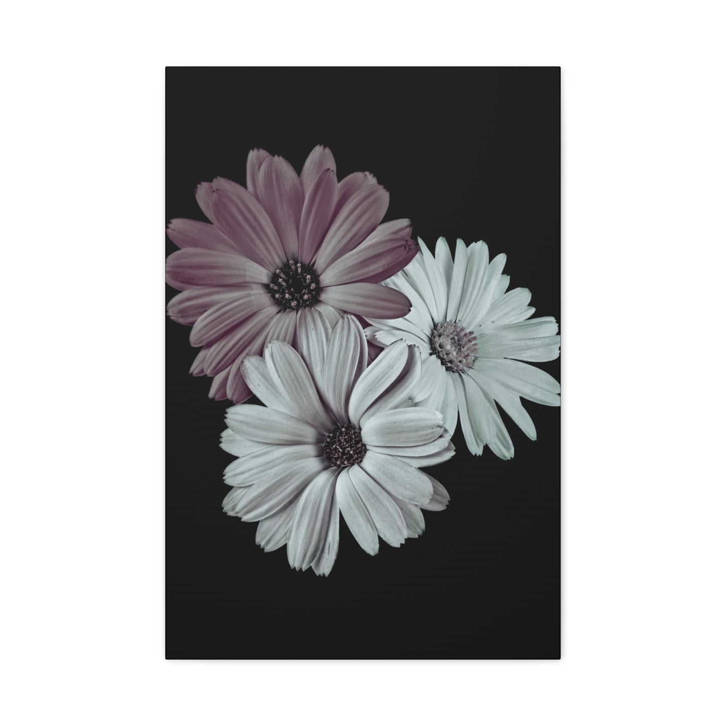 Collection Signature "FLORAL Numéro 5" sur Toile Fine Art sur Toile / Epaisseur 3,2cm - 1'25 po
