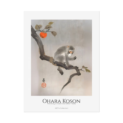 Monkey in kaki tree (1900 - 1930) by Ohara Koson / Affiche imprimée - Série ART's Collection