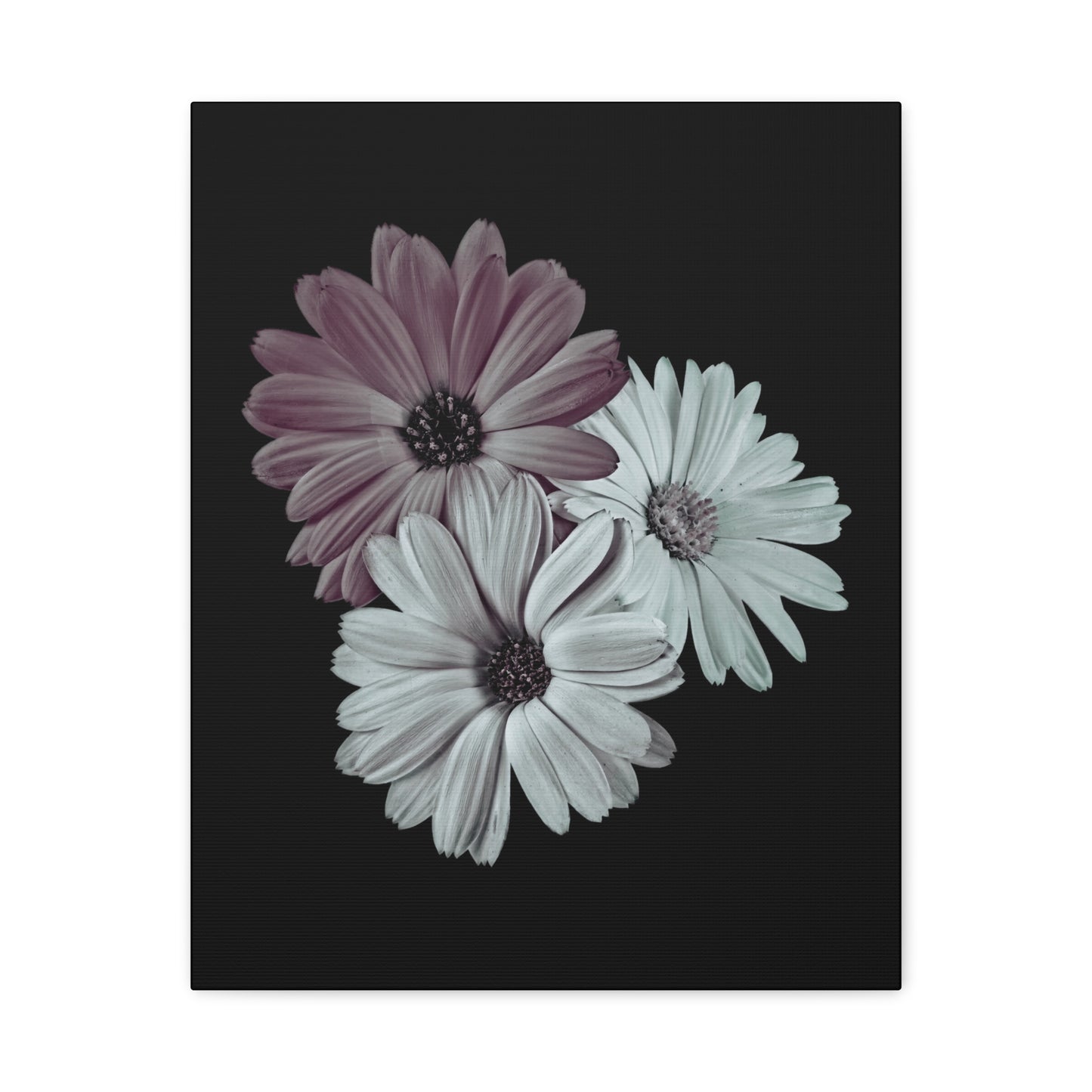Collection Signature "FLORAL Numéro 5" sur Toile Fine Art sur Toile / Epaisseur 3,2cm - 1'25 po