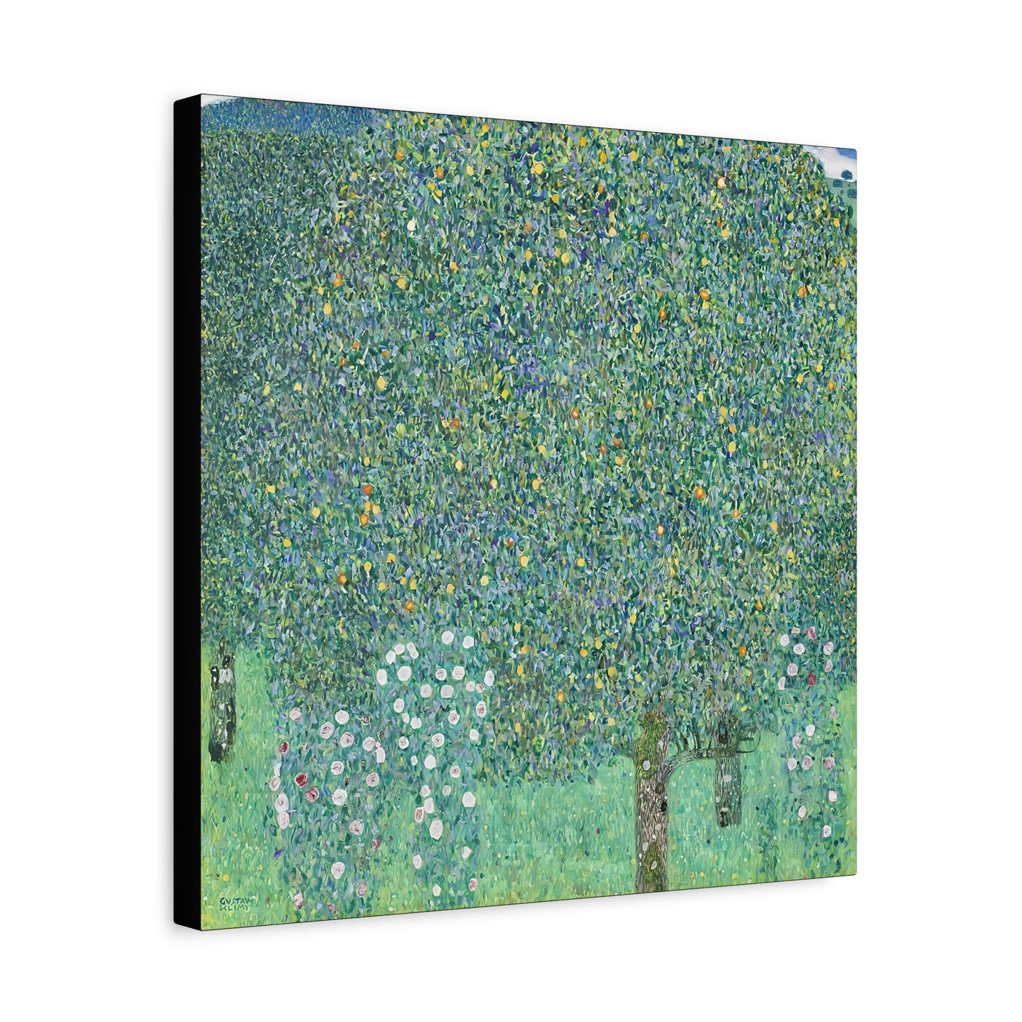 Rosebushes under the Trees (circa 1905) by Gustav Klimt / Reproduction Fine Art sur Toile / Flanc Large Epaisseur 3.2 cm - 1.25 inch