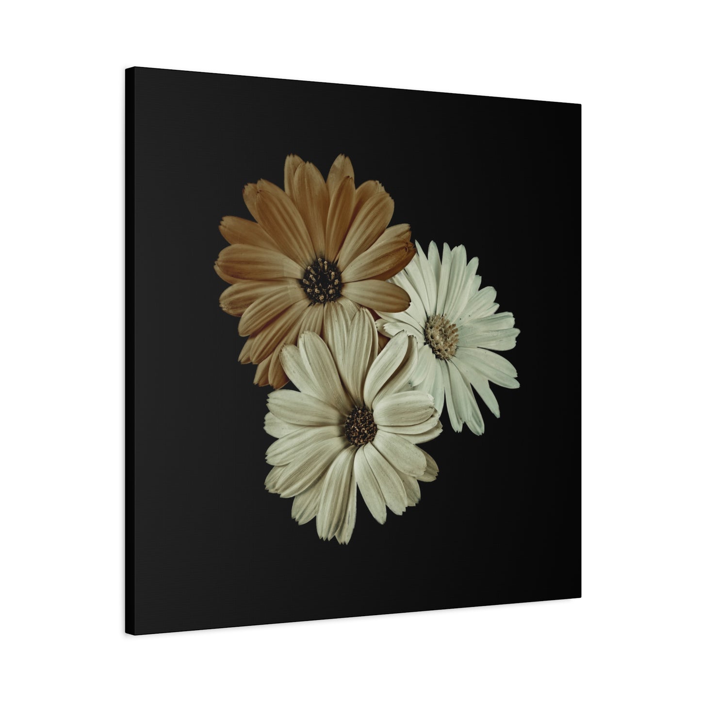 Collection Signature "FLORAL Numéro 3" sur Toile Fine Art sur Toile / Epaisseur 3,2cm - 1'25 po