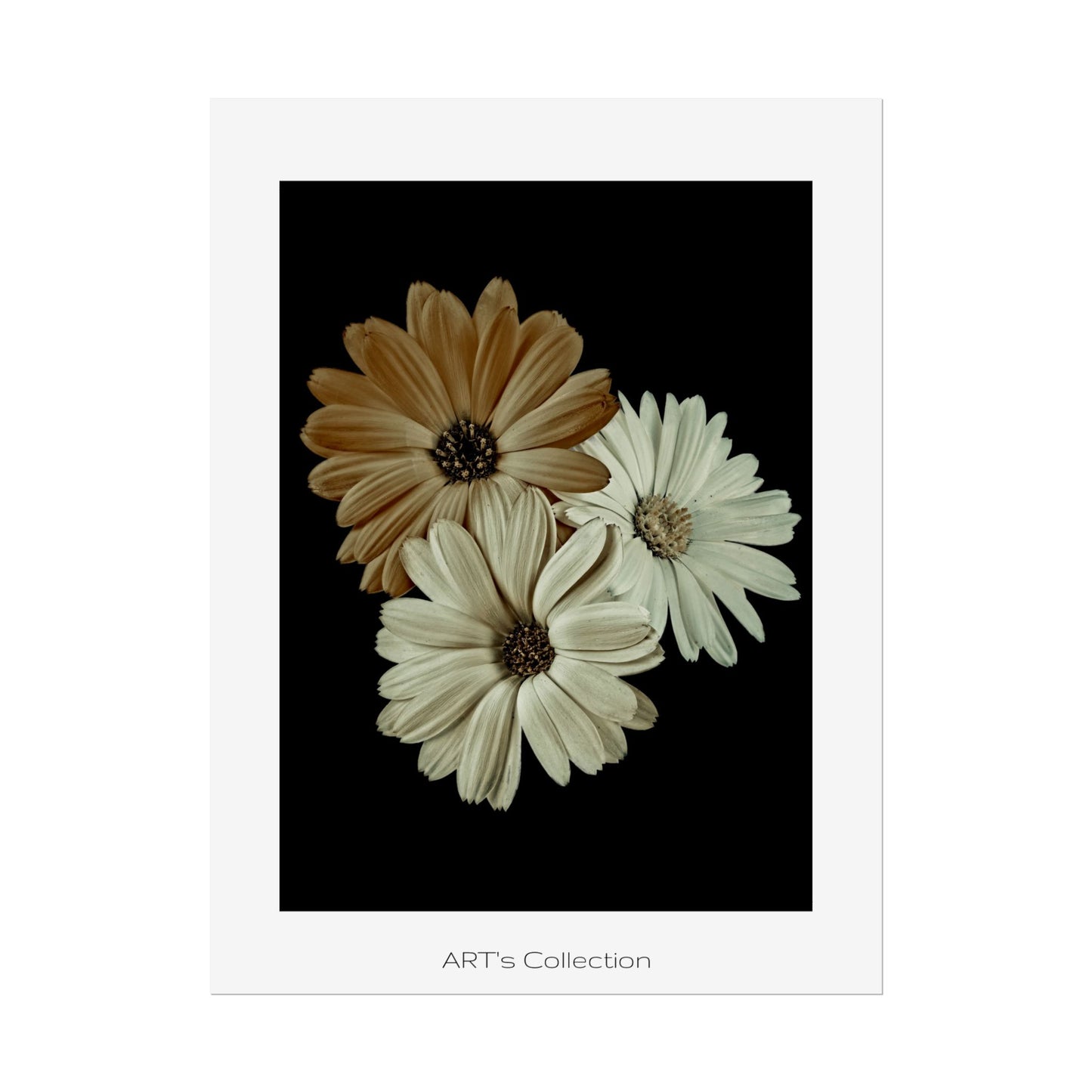 Collection Signature "FLORAL Numéro 3" sur Affiche imprimée - Série ART's Collection