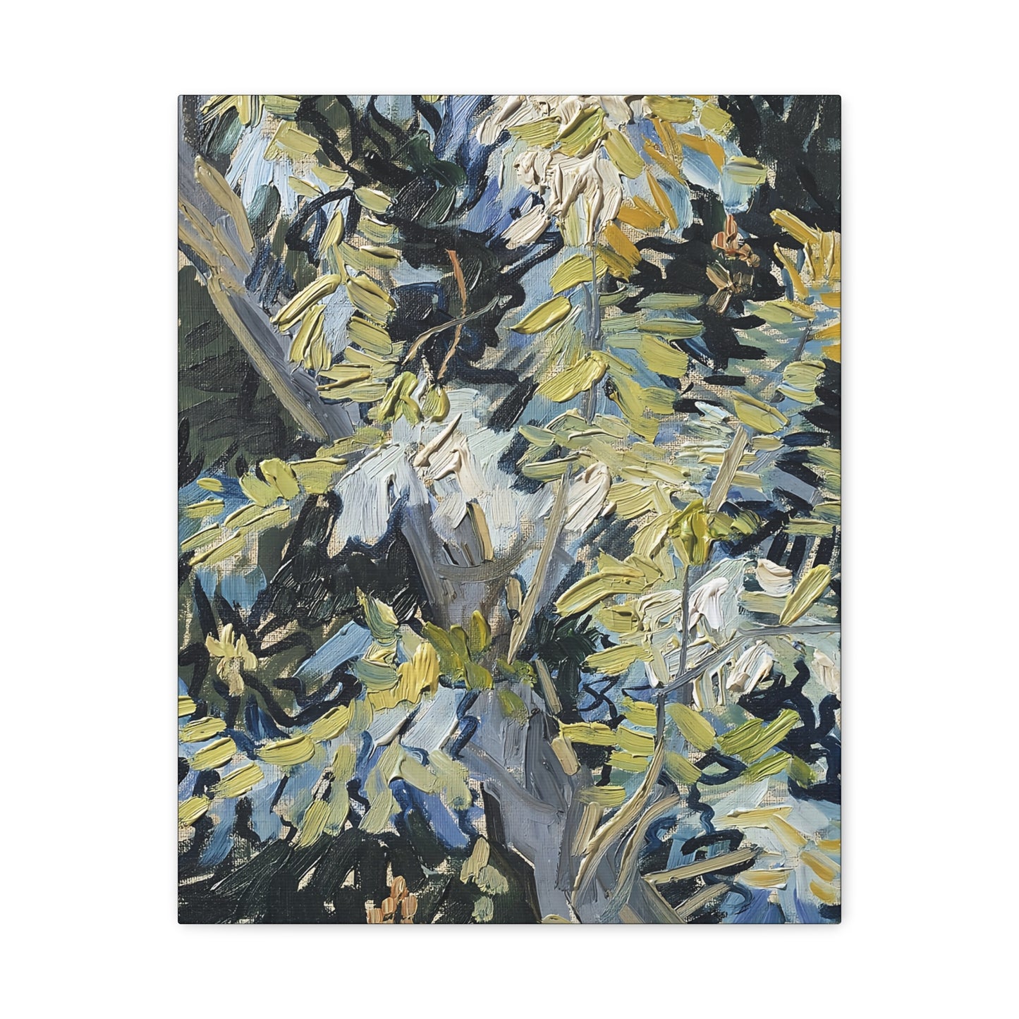 Acacia in Flowers by Vincent van Gogh  / Reproduction Fine Art sur Toile / Epaisseur 3,2cm - 1'25 po