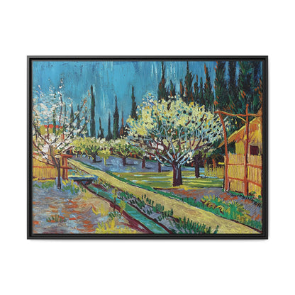 Orchard Bordered by Cypresses (1888) by Vincent van Gogh / Toile encadrée sur caisse américaine
