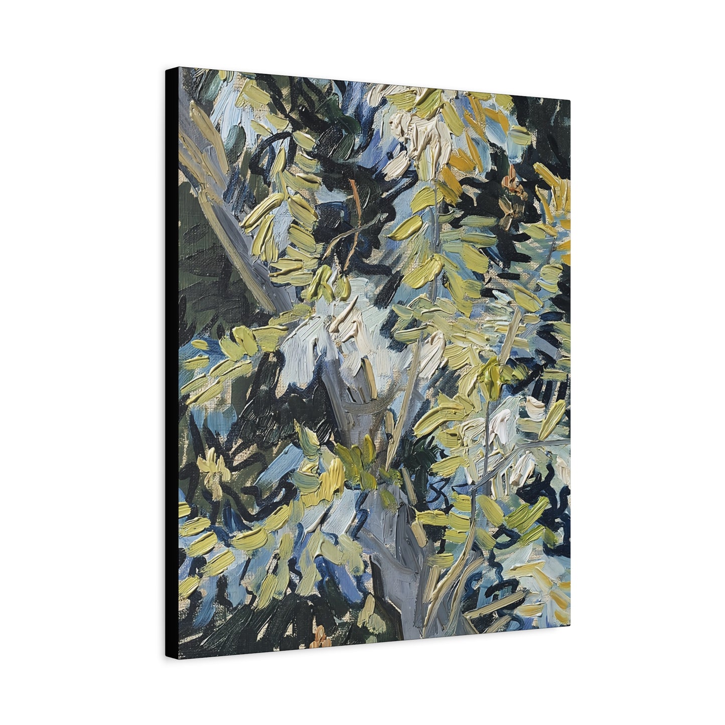 Acacia in Flowers by Vincent van Gogh  / Reproduction Fine Art sur Toile / Epaisseur 3,2cm - 1'25 po