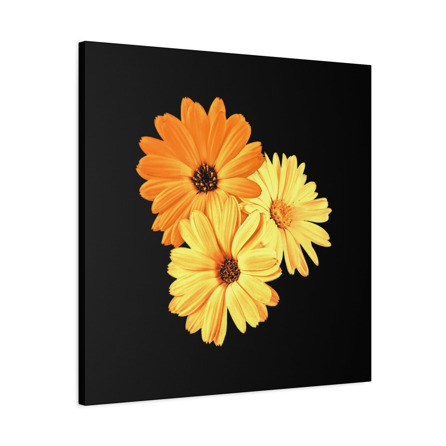 Collection Signature "FLORAL Numéro 8" sur Toile Fine Art sur Toile / Epaisseur 3,2cm - 1'25 po
