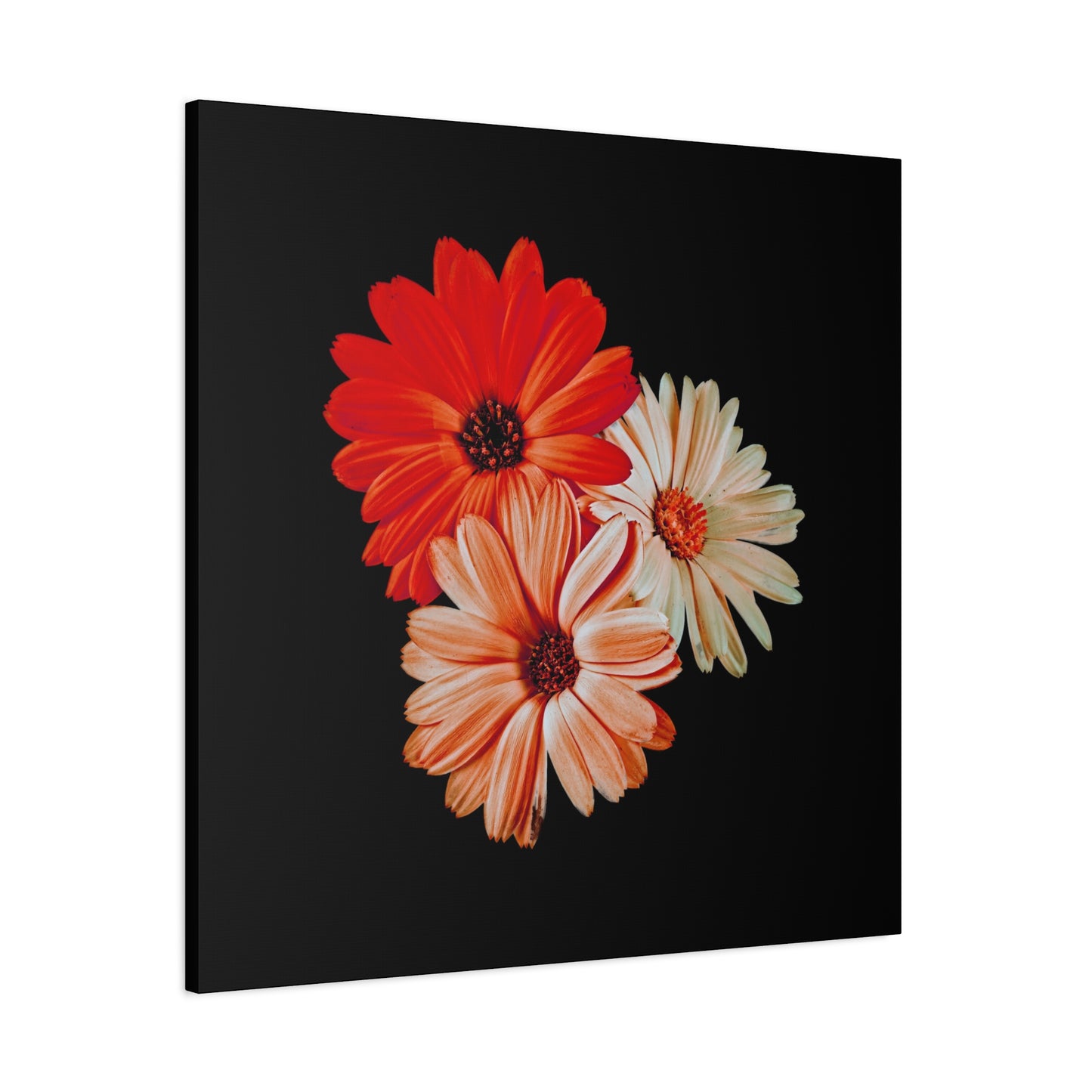 Collection Signature "FLORAL Numéro 7" sur Toile Fine Art sur Toile / Epaisseur 3,2cm - 1'25 po