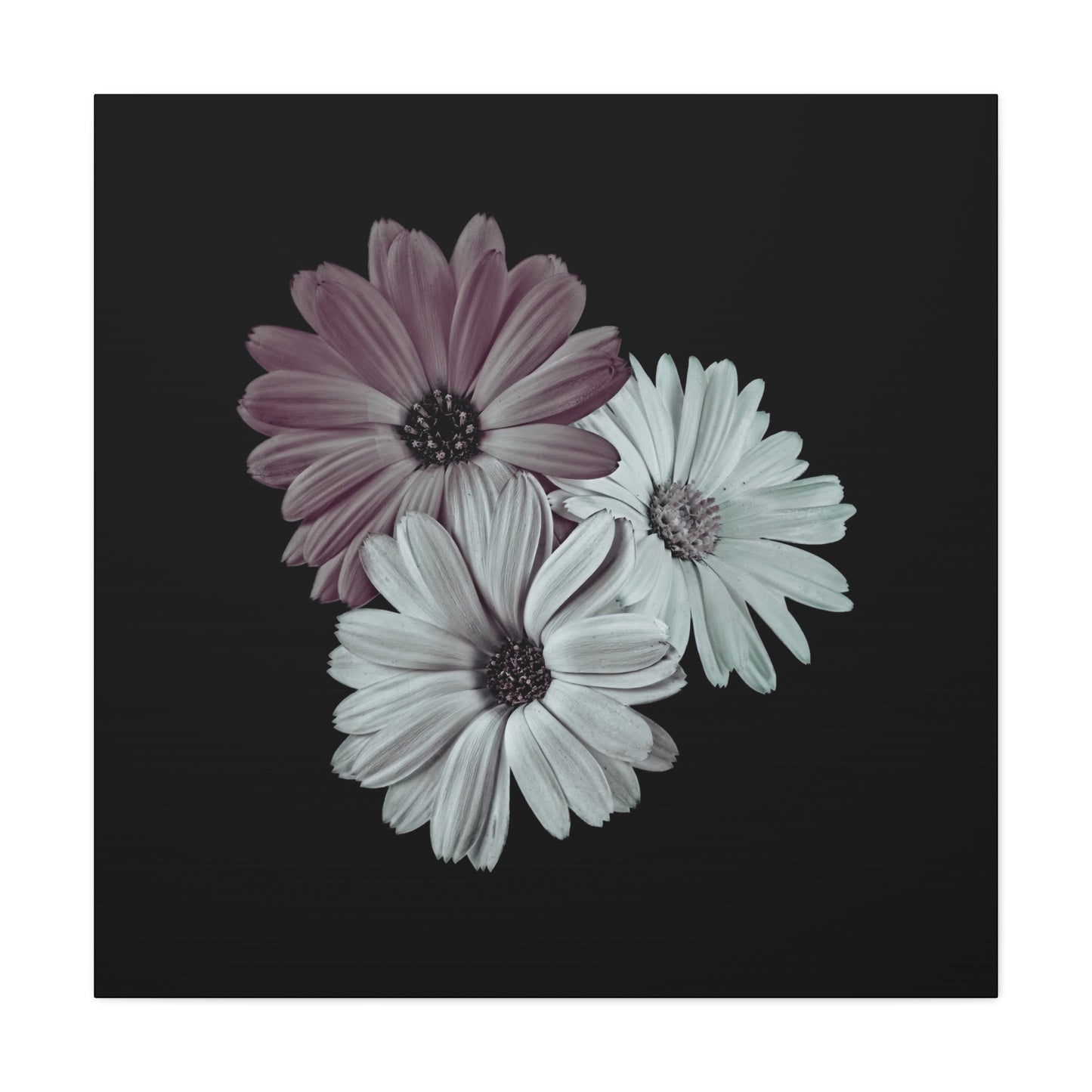 Collection Signature "FLORAL Numéro 5" sur Toile Fine Art sur Toile / Epaisseur 3,2cm - 1'25 po