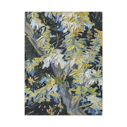 Acacia in Flowers by Vincent van Gogh  / Reproduction Fine Art sur Toile / Epaisseur 3,2cm - 1'25 po