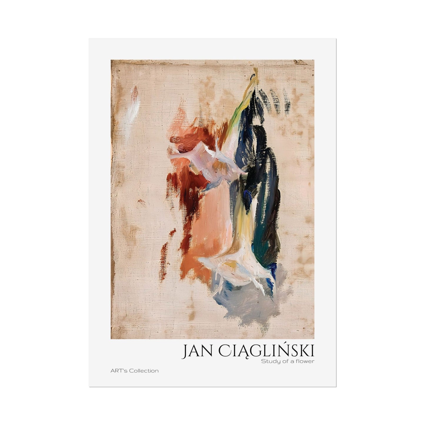 Study of a flower by Jan Ciaglinski / Affiche imprimée - Série ART's Collection