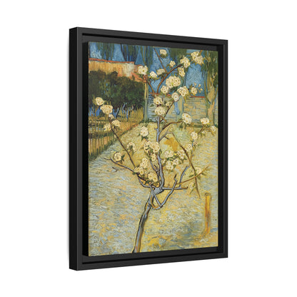 Small pear tree in blossom (1888) by Vincent van Gogh / Toile encadrée sur caisse américaine