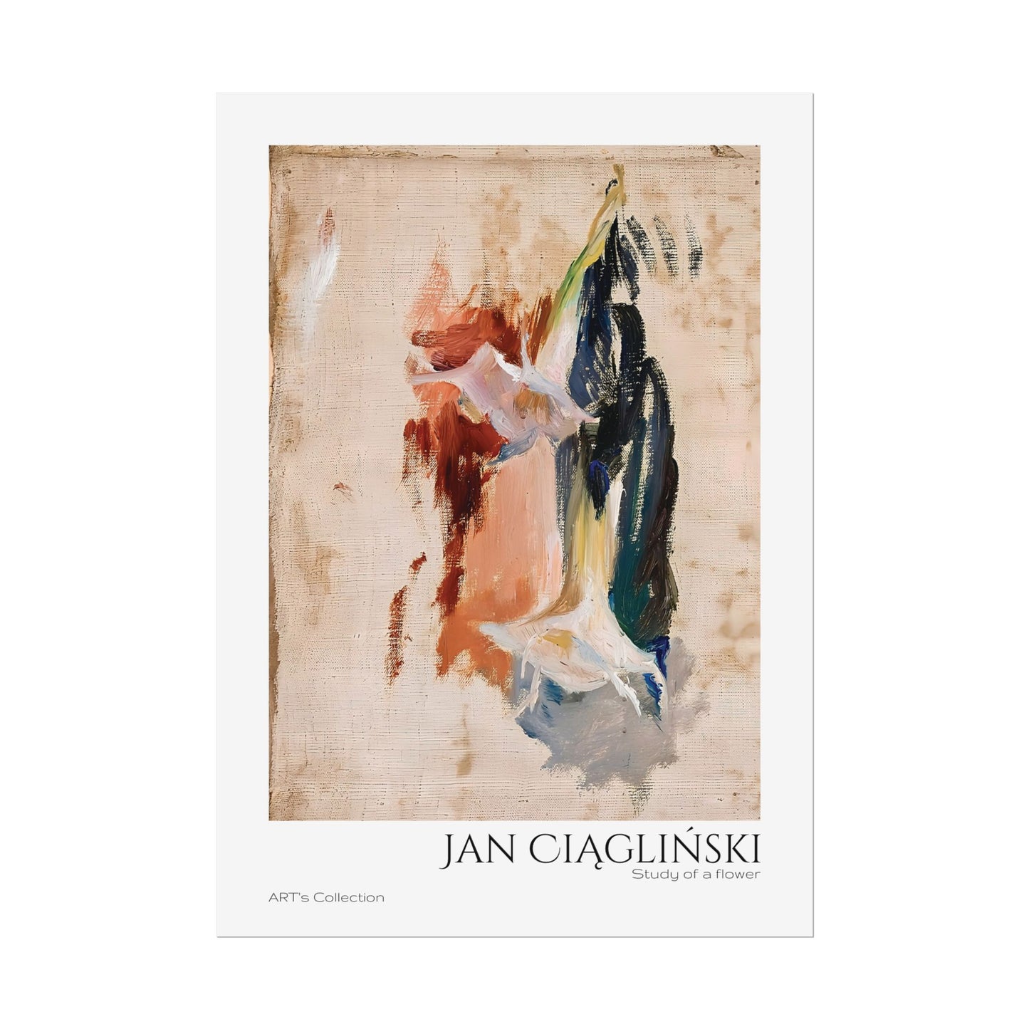 Study of a flower by Jan Ciaglinski / Affiche imprimée - Série ART's Collection