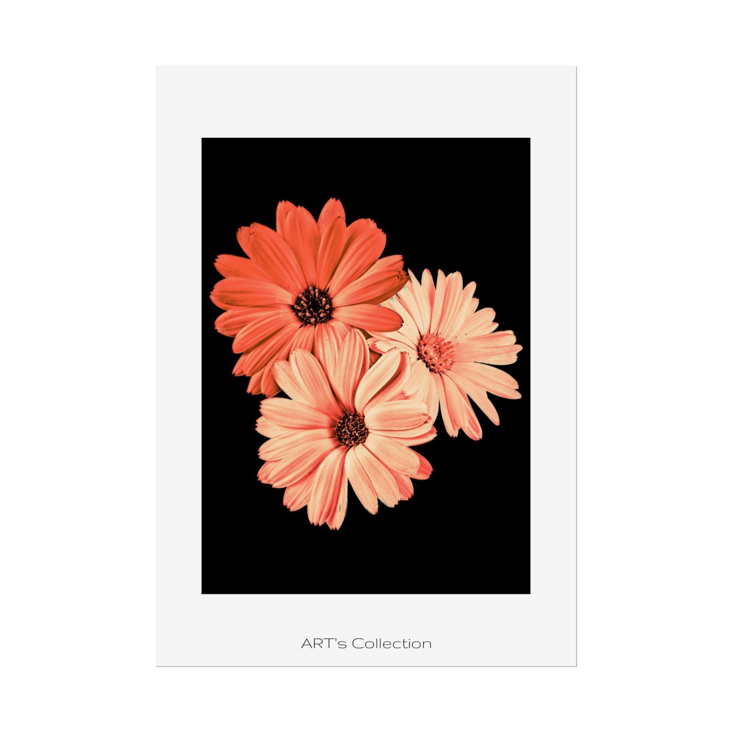 Collection Signature "FLORAL Numéro 6" sur Affiche imprimée - Série ART's Collection