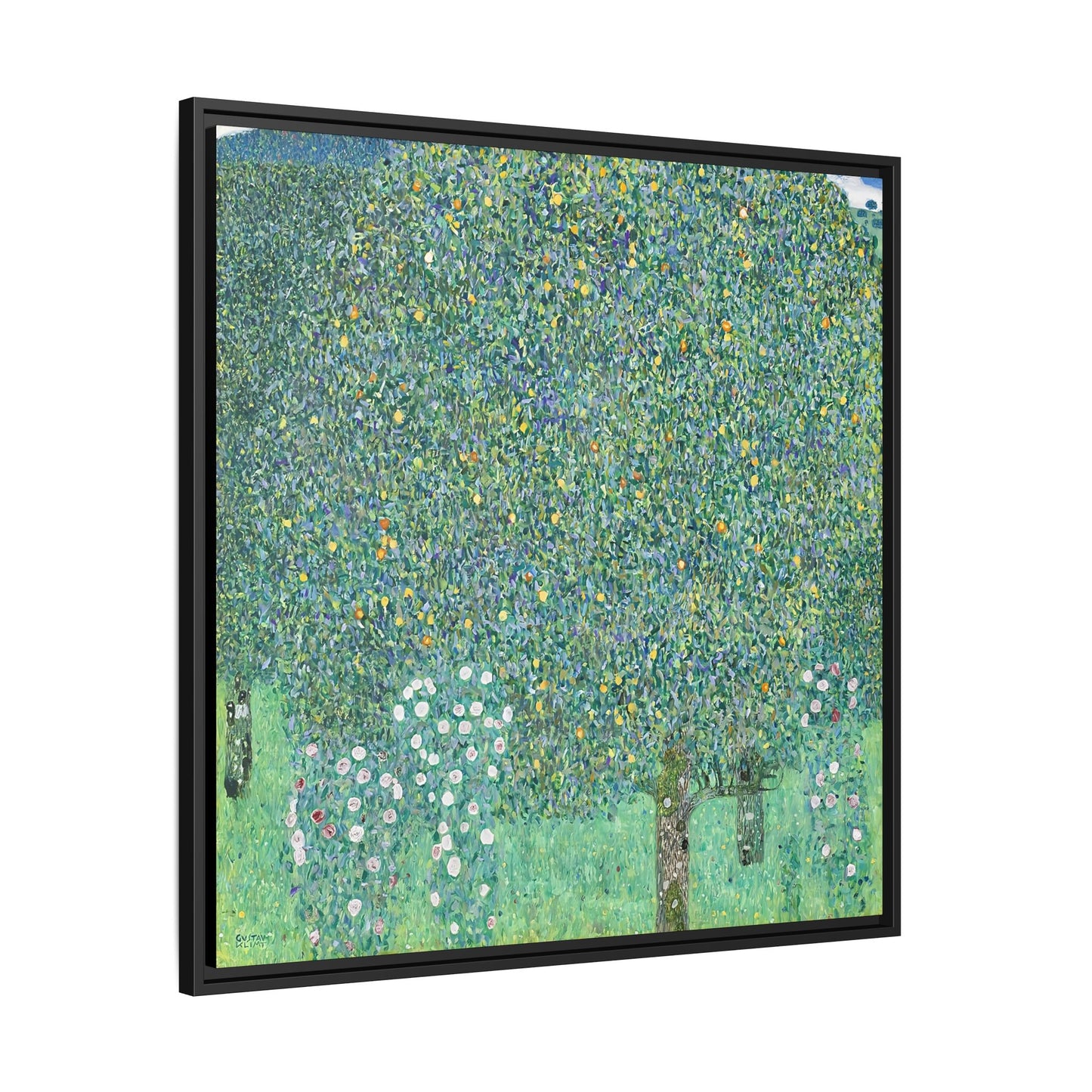 Rosebushes under the Trees (circa 1905)  by Gustav Klimt / Toile encadrée sur caisse américaine