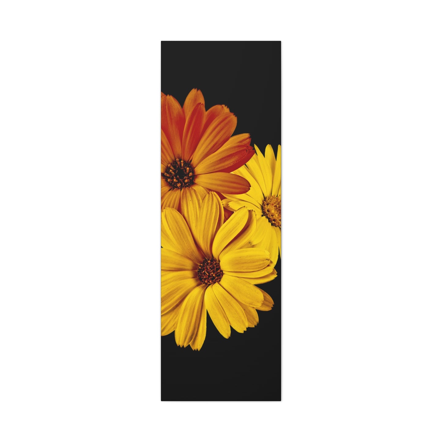 Collection Signature "FLORAL Numéro 4" sur Toile Fine Art sur Toile / Epaisseur 3,2cm - 1'25 po