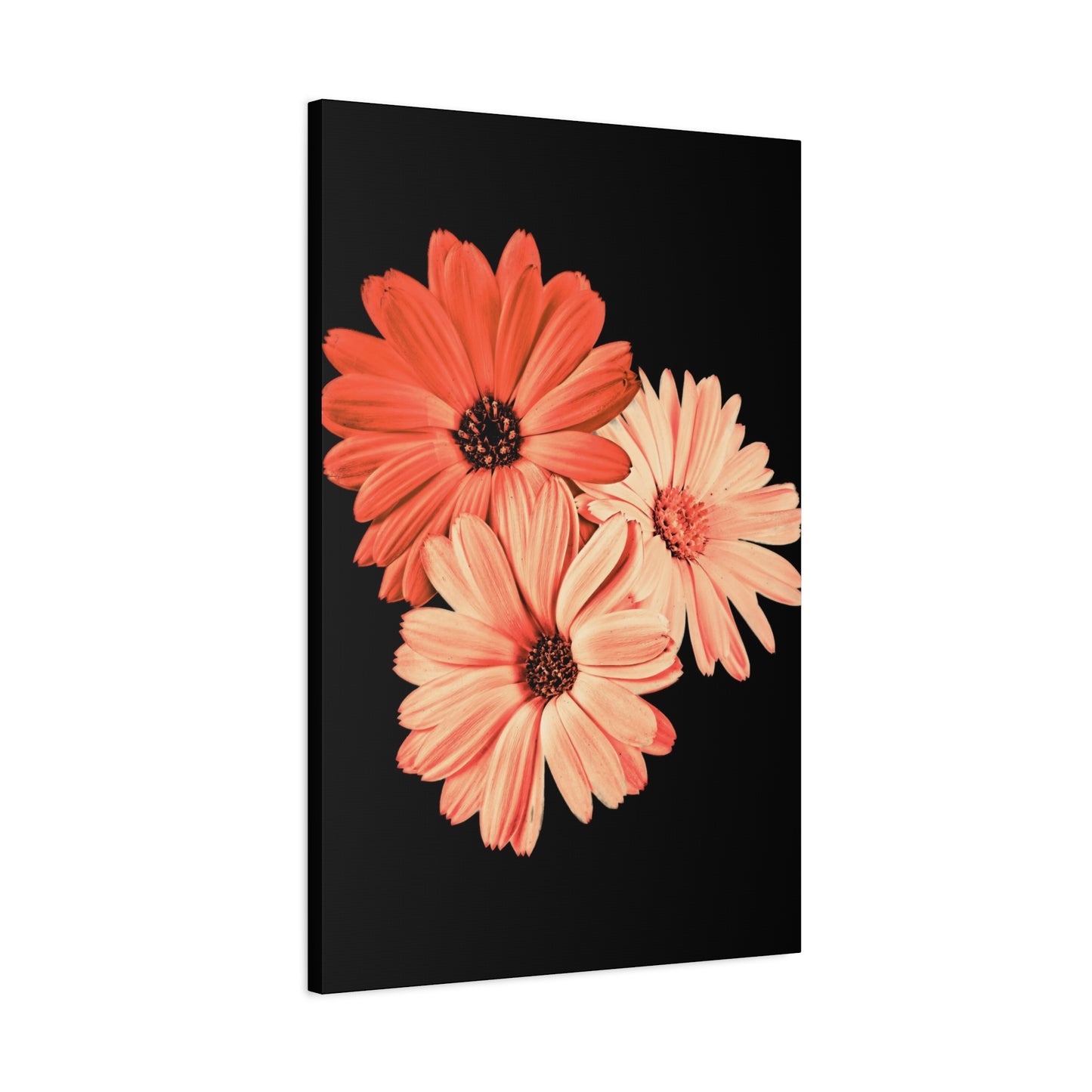 Collection Signature "FLORAL Numéro 6" sur Toile Fine Art sur Toile / Epaisseur 3,2cm - 1'25 po