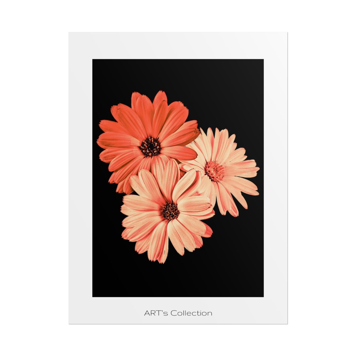 Collection Signature "FLORAL Numéro 6" sur Affiche imprimée - Série ART's Collection