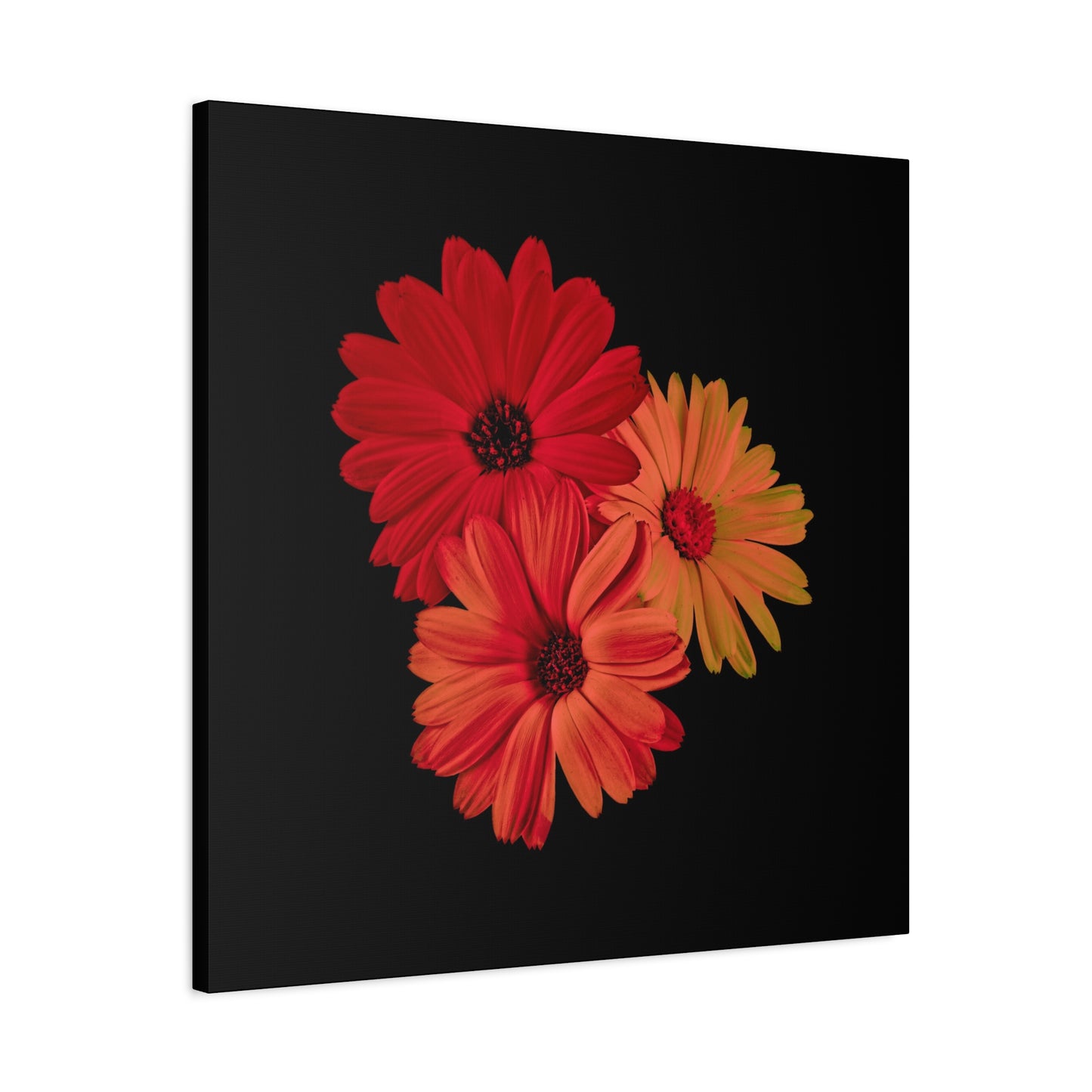 Collection Signature "FLORAL Numéro 1" sur Toile Fine Art sur Toile / Epaisseur 3,2cm - 1'25 po