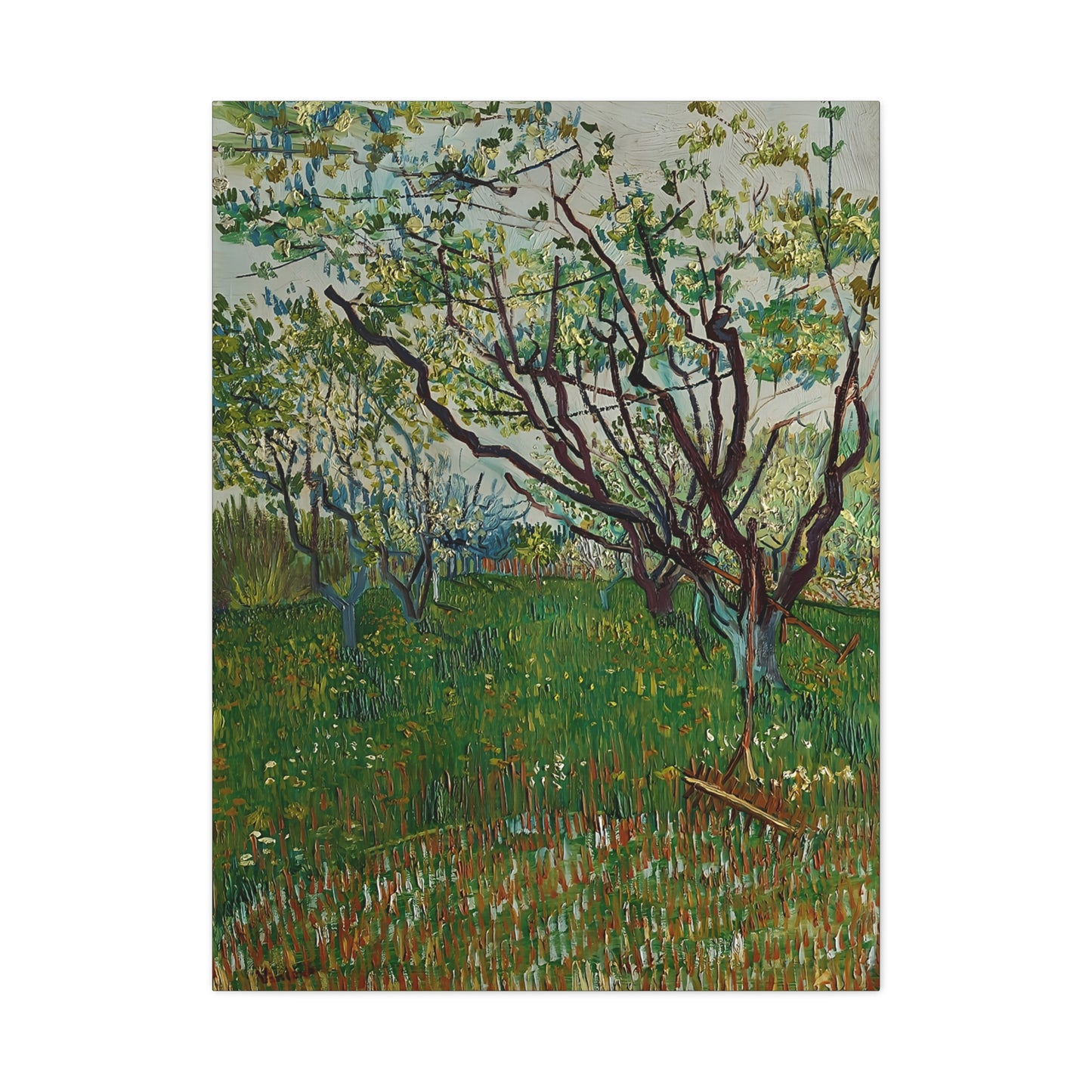 The Flowering Orchard (1888) by Vincent van Gogh  / Reproduction Fine Art sur Toile / Epaisseur 3,2cm - 1'25 po