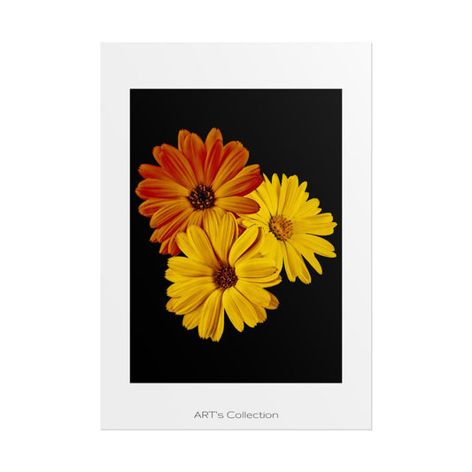 Collection Signature "FLORAL Numéro 4" sur Affiche imprimée - Série ART's Collection
