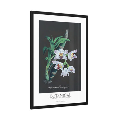 Botanical - Orchidées Pl.60 (19th Century) / Affiche Encadrée série ART's Collection