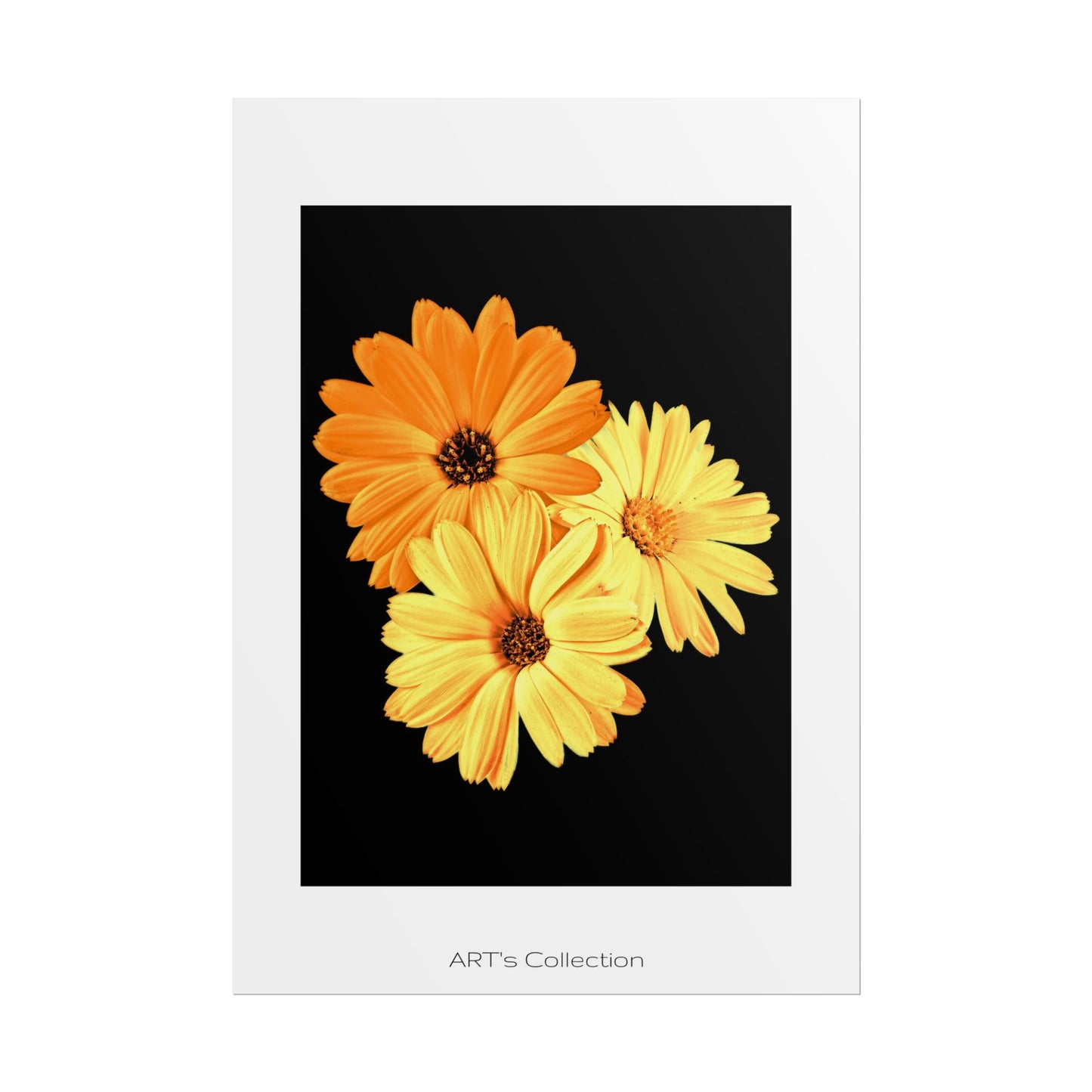 Collection Signature "FLORAL Numéro 8" sur Affiche imprimée - Série ART's Collection