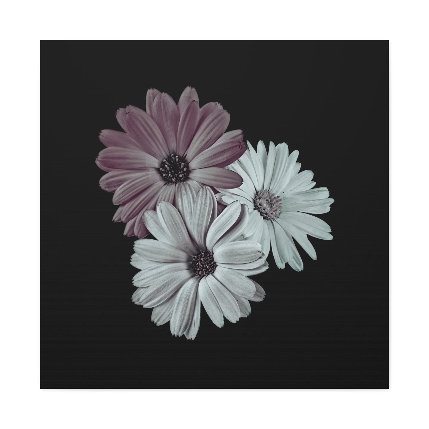Collection Signature "FLORAL Numéro 5" sur Toile Fine Art sur Toile / Epaisseur 3,2cm - 1'25 po