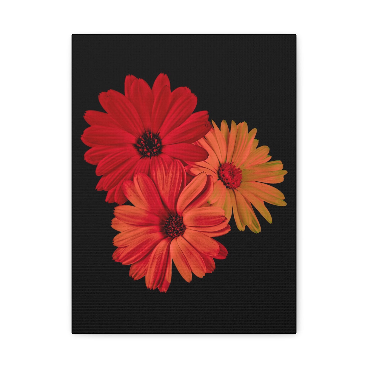 Collection Signature "FLORAL Numéro 1" sur Toile Fine Art sur Toile / Epaisseur 3,2cm - 1'25 po