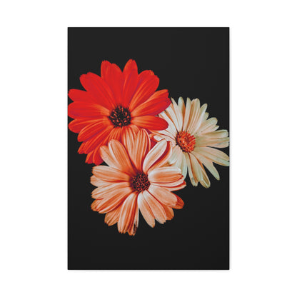 Collection Signature "FLORAL Numéro 7" sur Toile Fine Art sur Toile / Epaisseur 3,2cm - 1'25 po